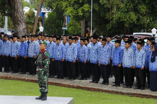 Ilustrasi Aparatur Sipil Negara (ASN) di lingkup Pemerintah Daerah. (Foto: kepulauanselayarkab.go.id)